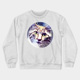 Catlike mycat, revolution for cats Crewneck Sweatshirt